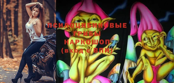 прущие грибы Алексин