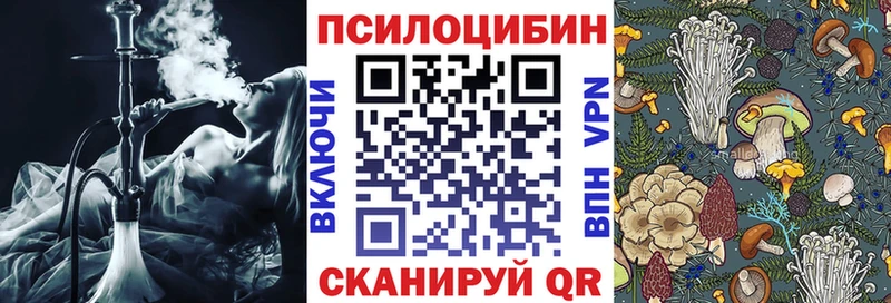сколько стоит Змеиногорск Псилоцибиновые грибы мухоморы